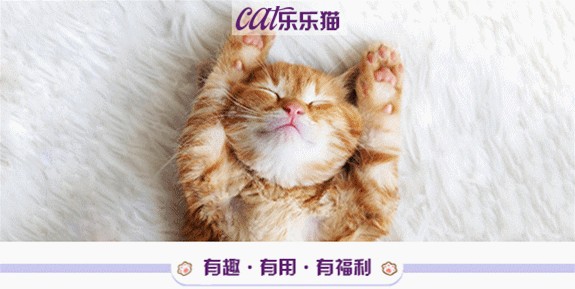 十个大橘九个胖，还有一个压倒炕！没想到橘猫还有这么多的优点